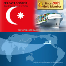 Günstige Fast Sea Freight Von China nach Türkei / Istanbul / Ismir / Mersin